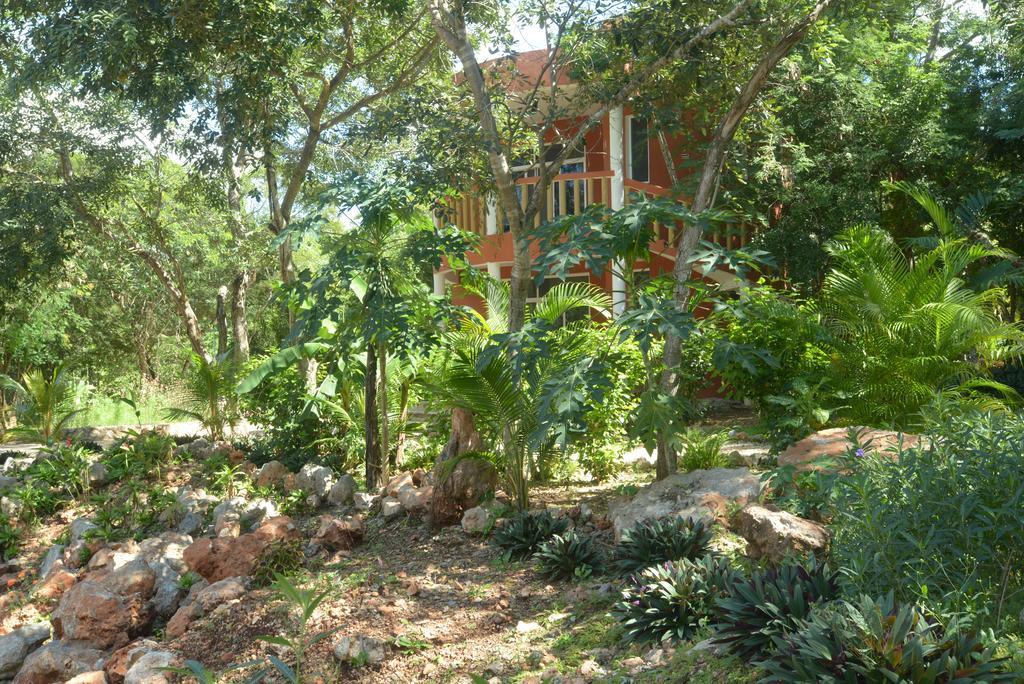 Eco-hotel Nueva Altia