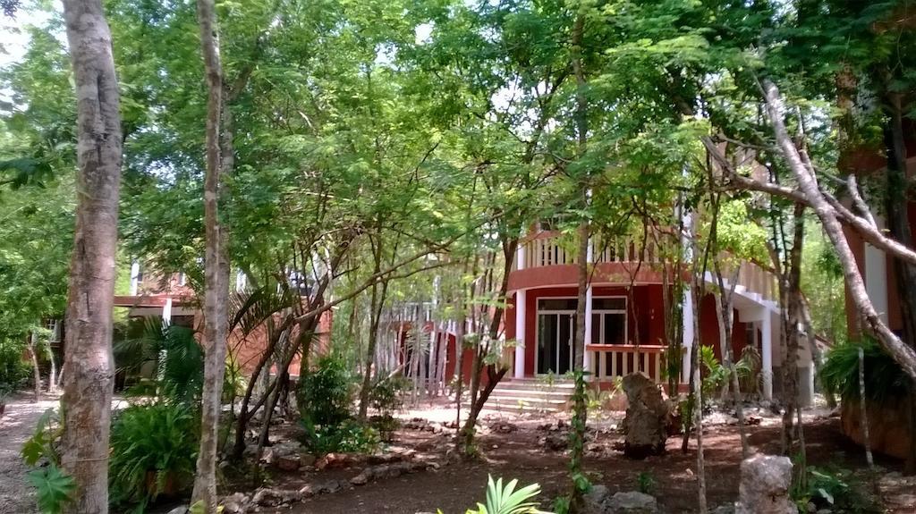 Eco-hotel Nueva Altia *
