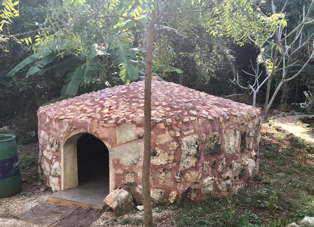 Eco-hotel Nueva Altia Lodge *